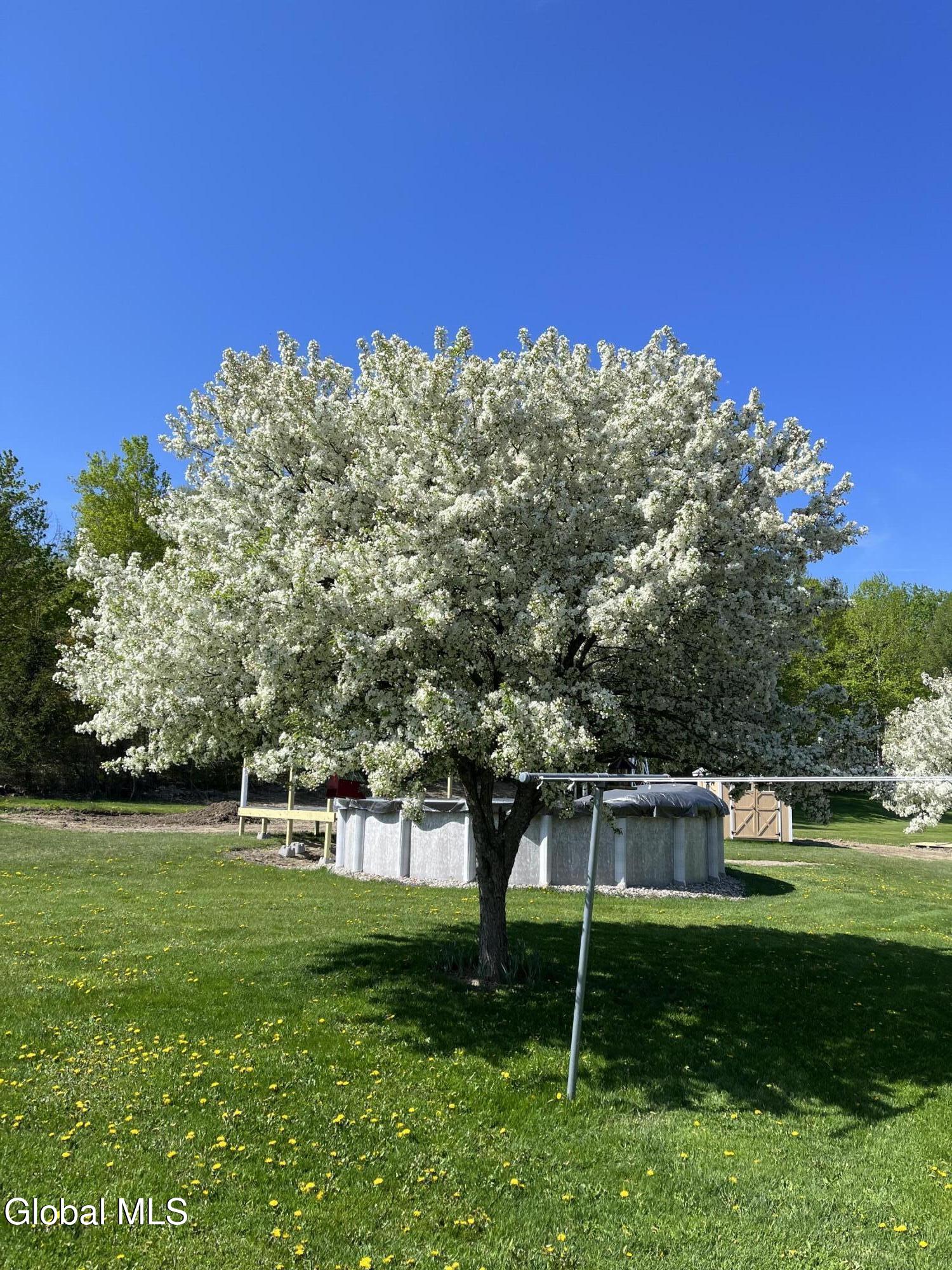 636 Darby Hill Road Duanesburg NY 12053