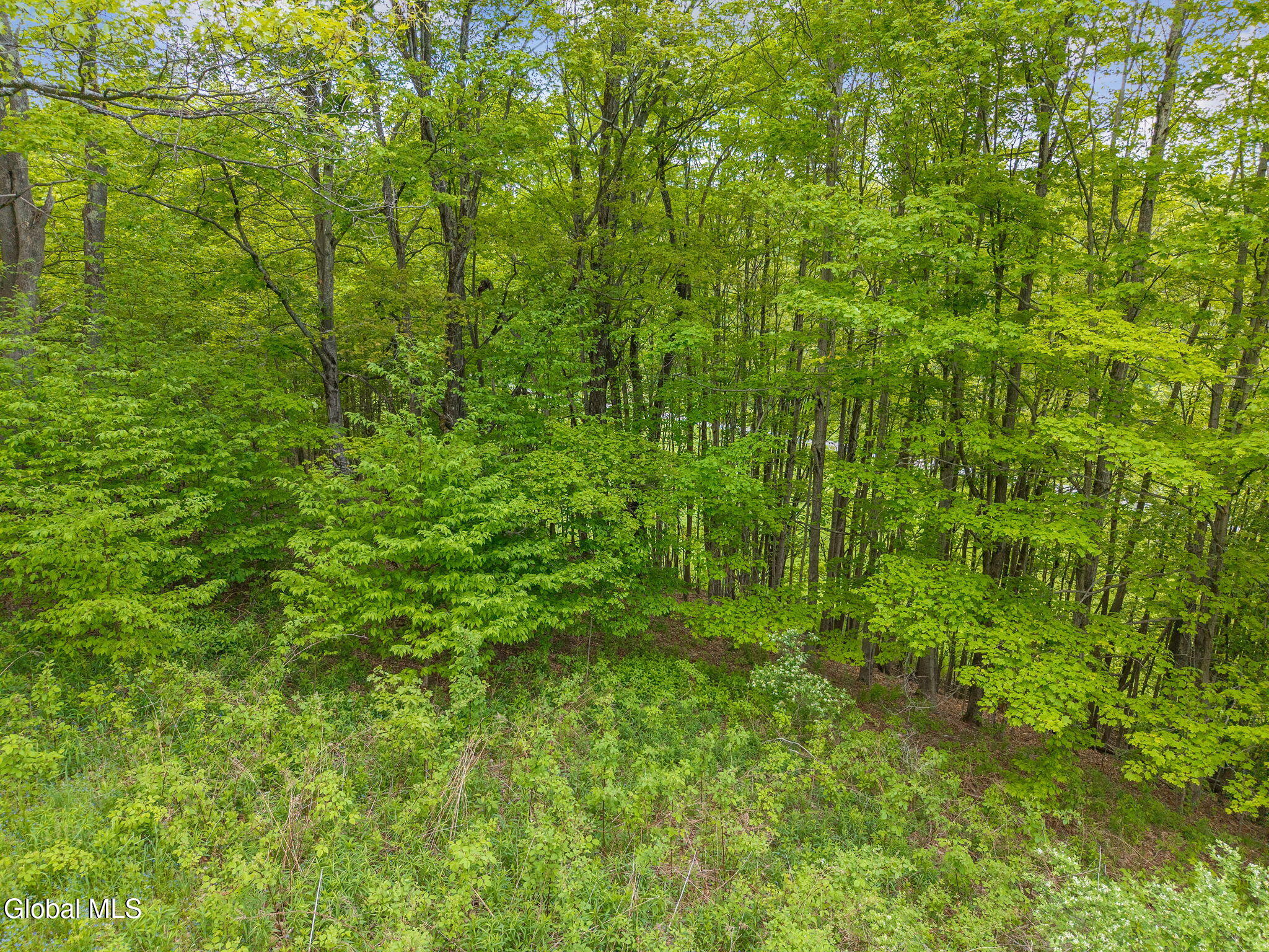 211 Winegard Road Richmondville NY 12149