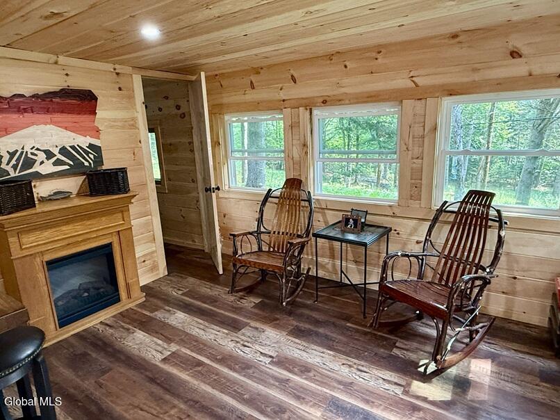 246 Loch Muller Road Olmstedville NY 12870