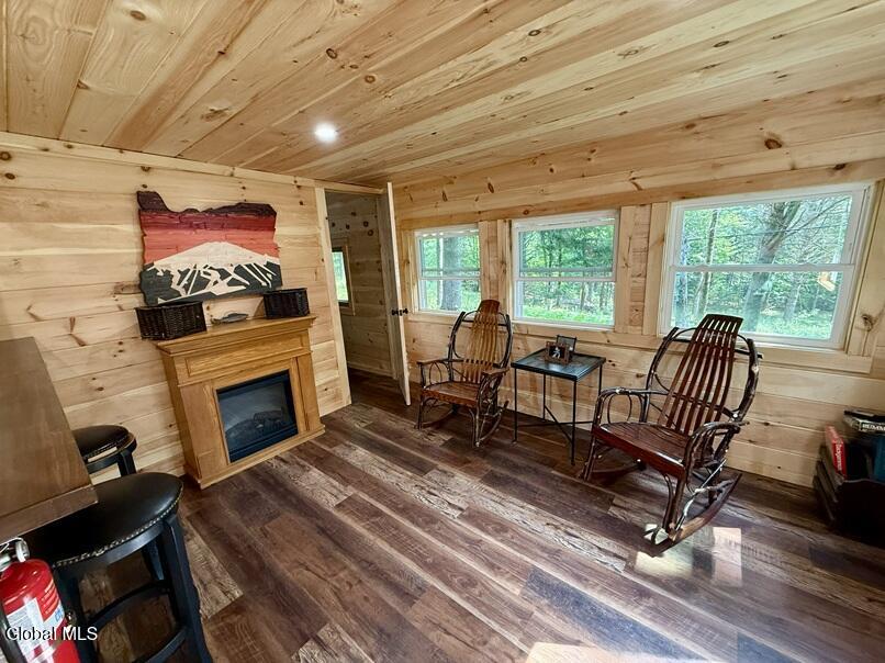 246 Loch Muller Road Olmstedville NY 12870
