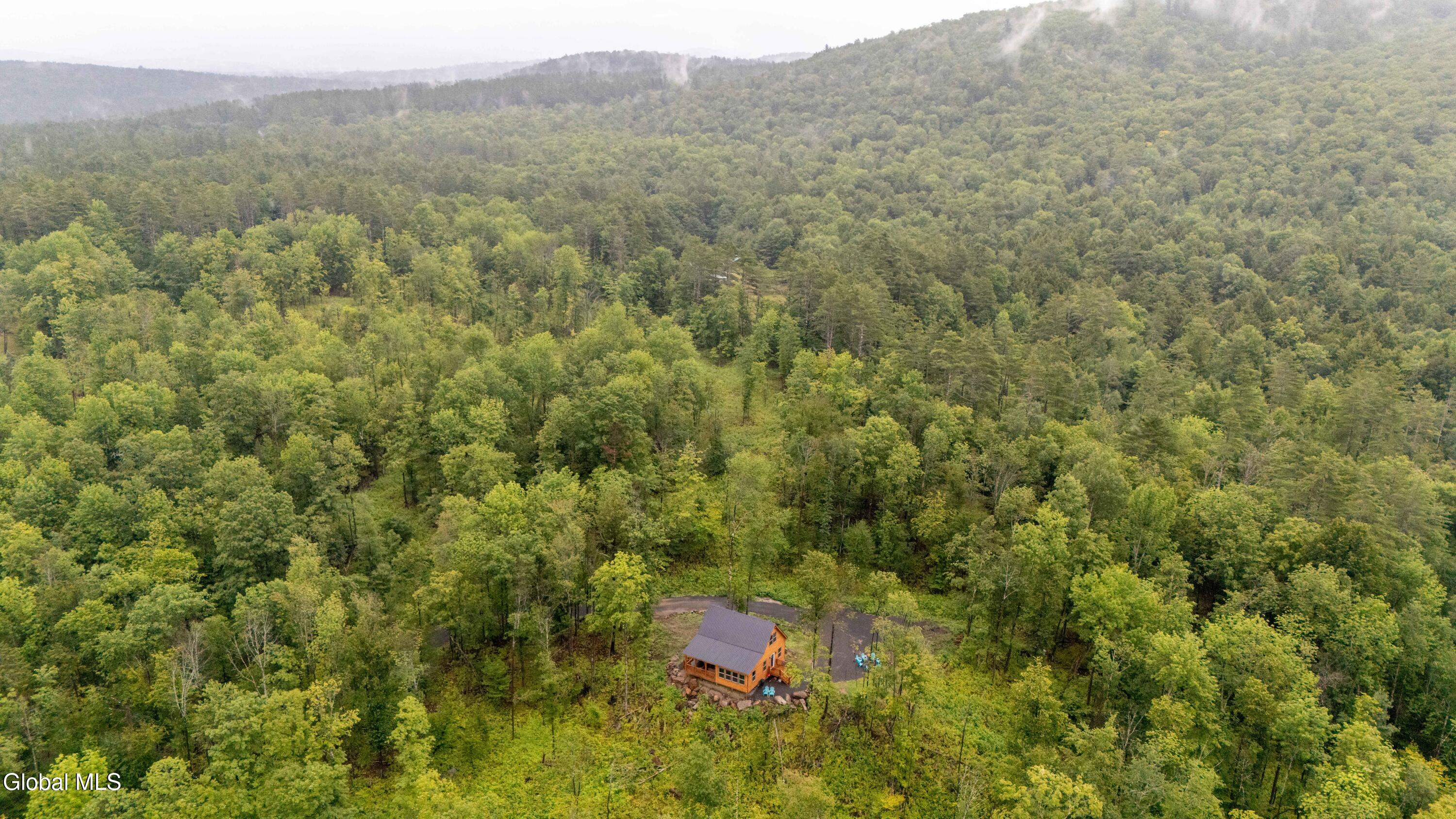 122 Buttermilk Hill Road Wells NY 12190