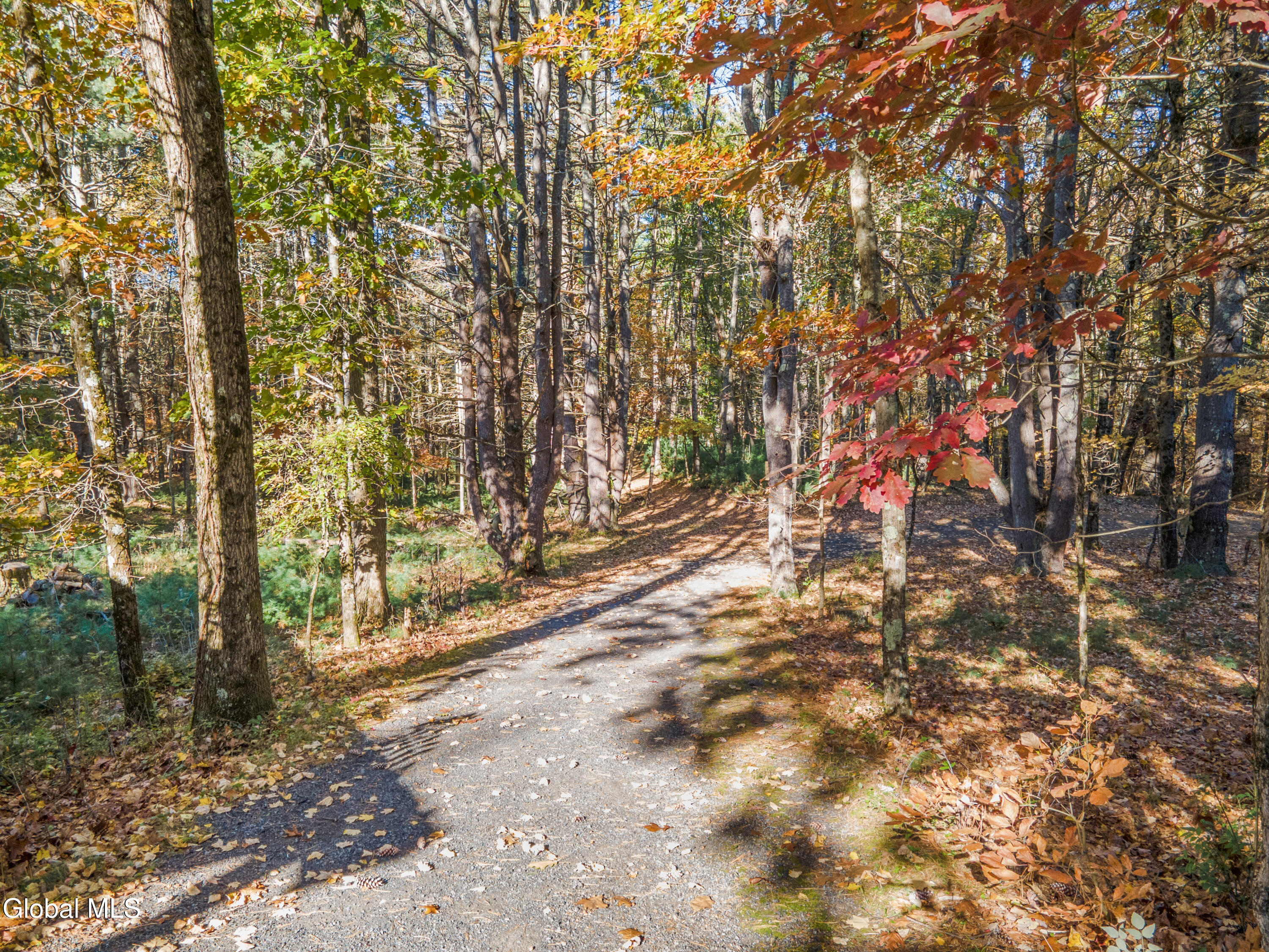 64 Edie Road Saratoga Springs NY 12866