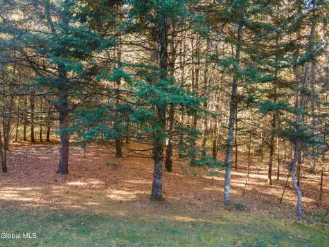 64 Edie Road Saratoga Springs NY 12866