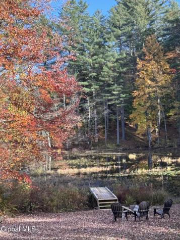 10 Lakeside Estate Corinth NY 12822