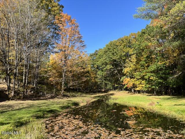 86 E Honey Hollow Road Earlton NY 12058