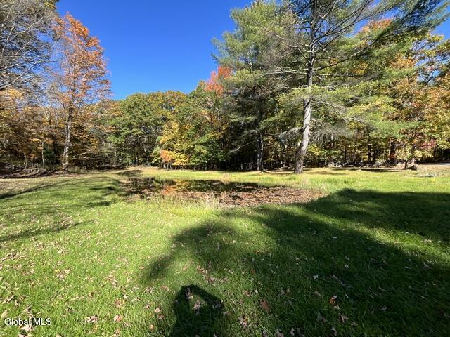 86 E Honey Hollow Road Earlton NY 12058