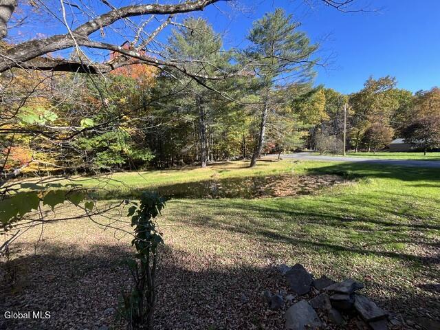 86 E Honey Hollow Road Earlton NY 12058