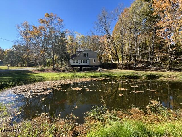 86 E Honey Hollow Road Earlton NY 12058
