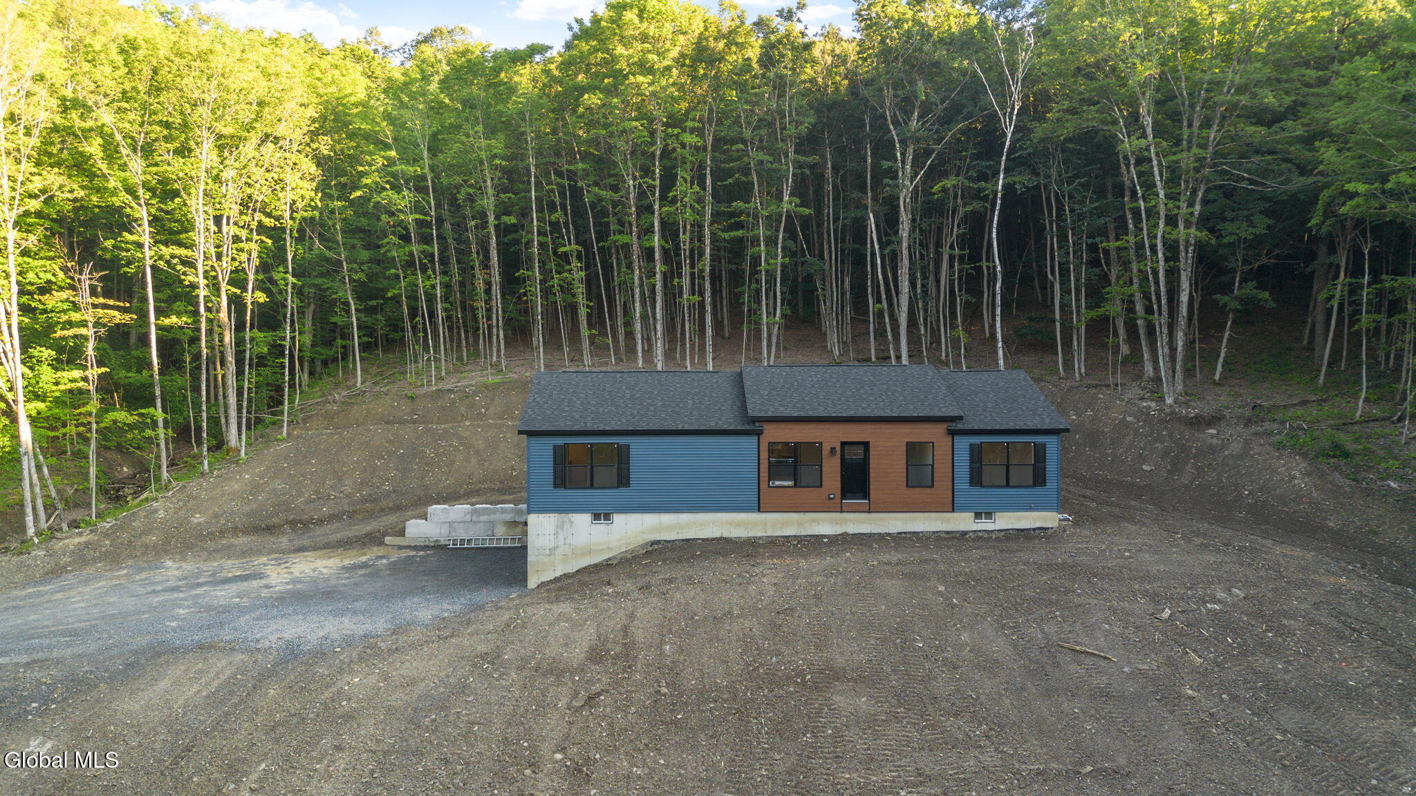 727 Irish Hill Road Berne NY 12023