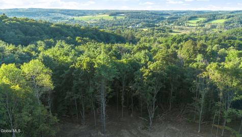 727 Irish Hill Road Berne NY 12023