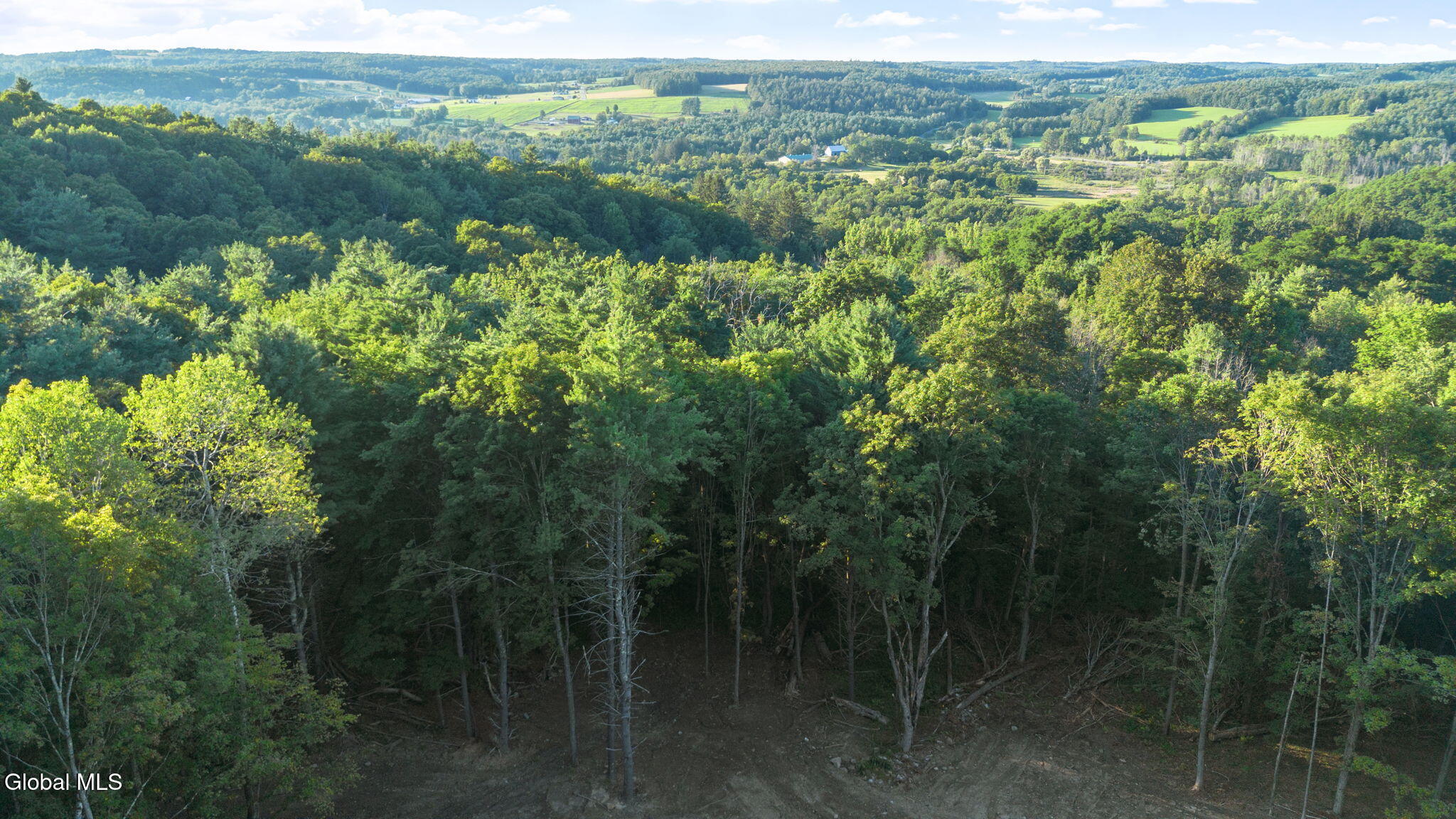 727 Irish Hill Road Berne NY 12023