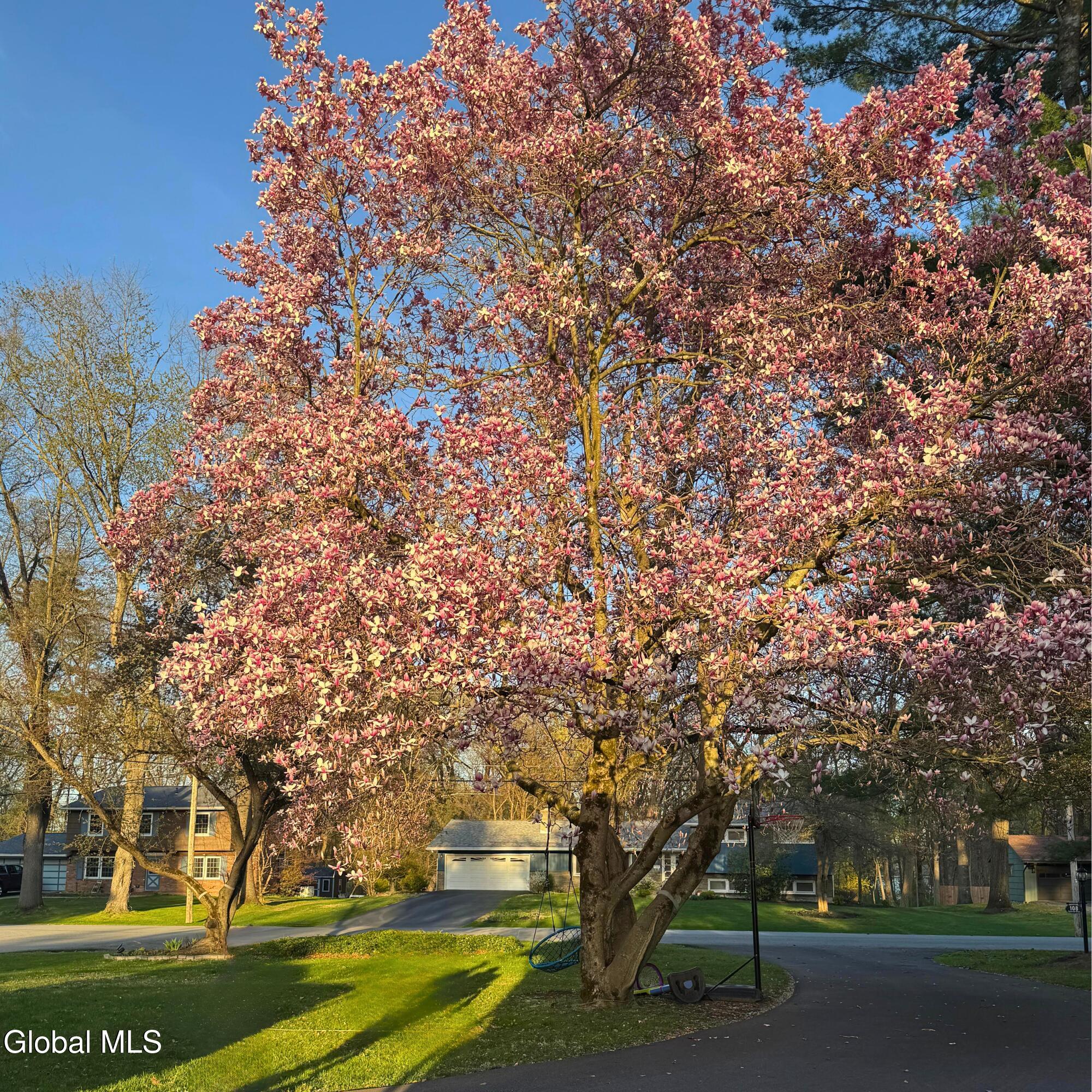 108 Governor Drive Glenville NY 12302