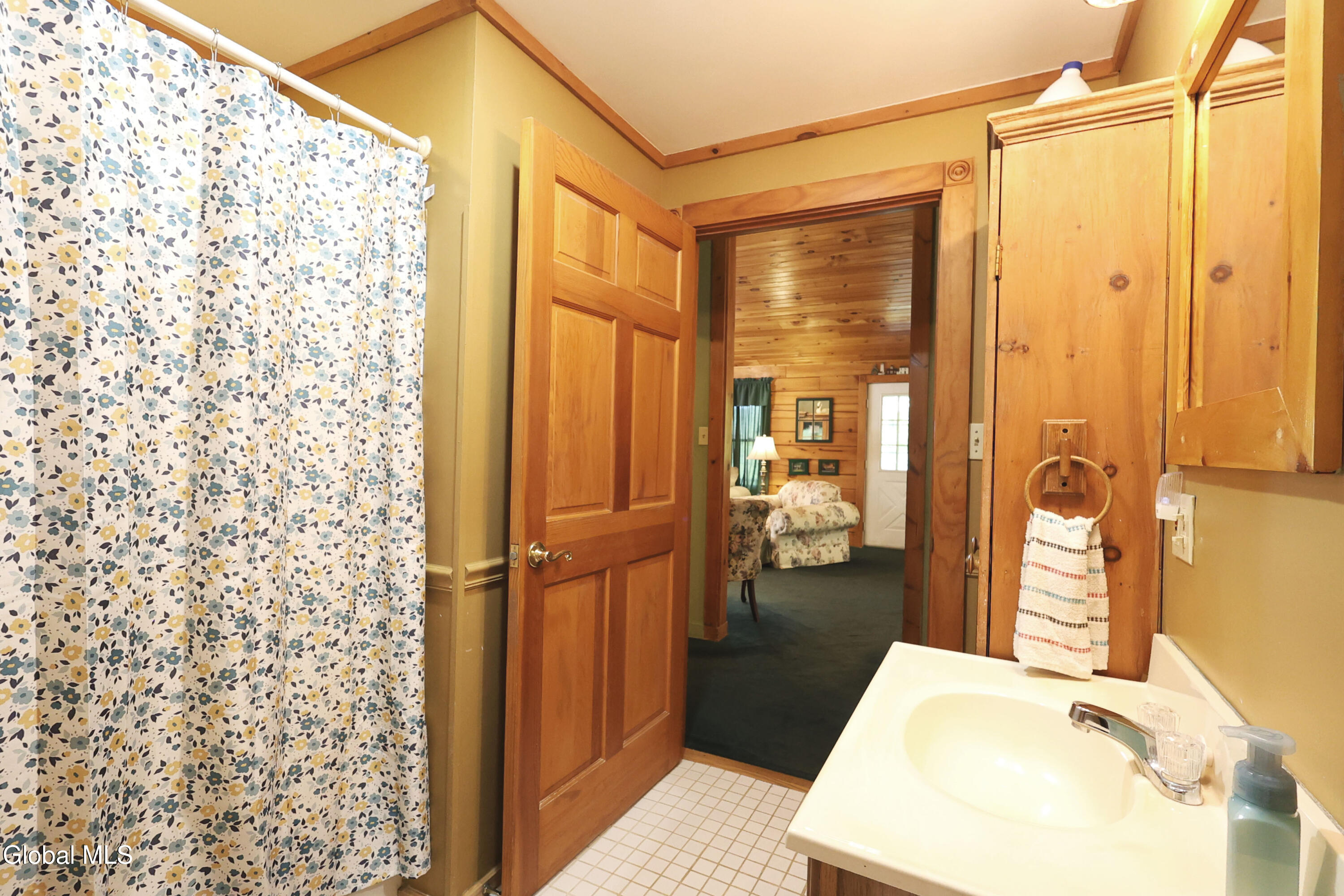 454 East Shore Drive Adirondack NY 12808