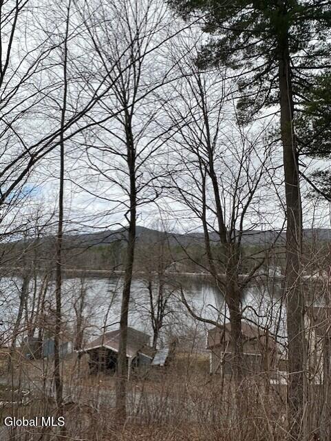 107 Harris Avenue Lake Luzerne NY 12846