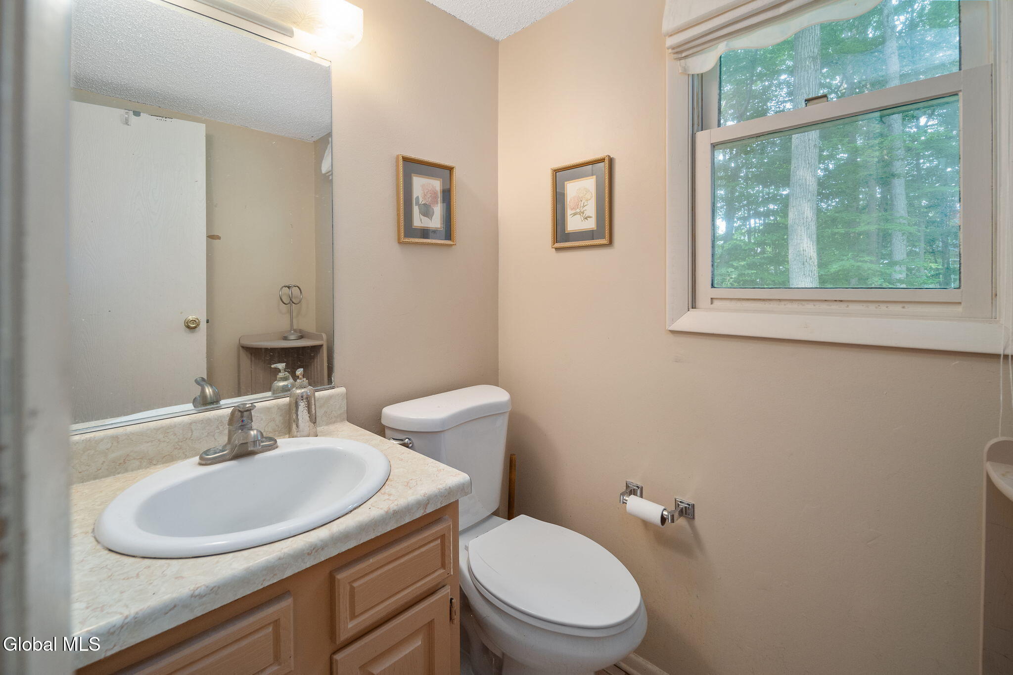 20 Longwood Drive Clifton Park NY 12065