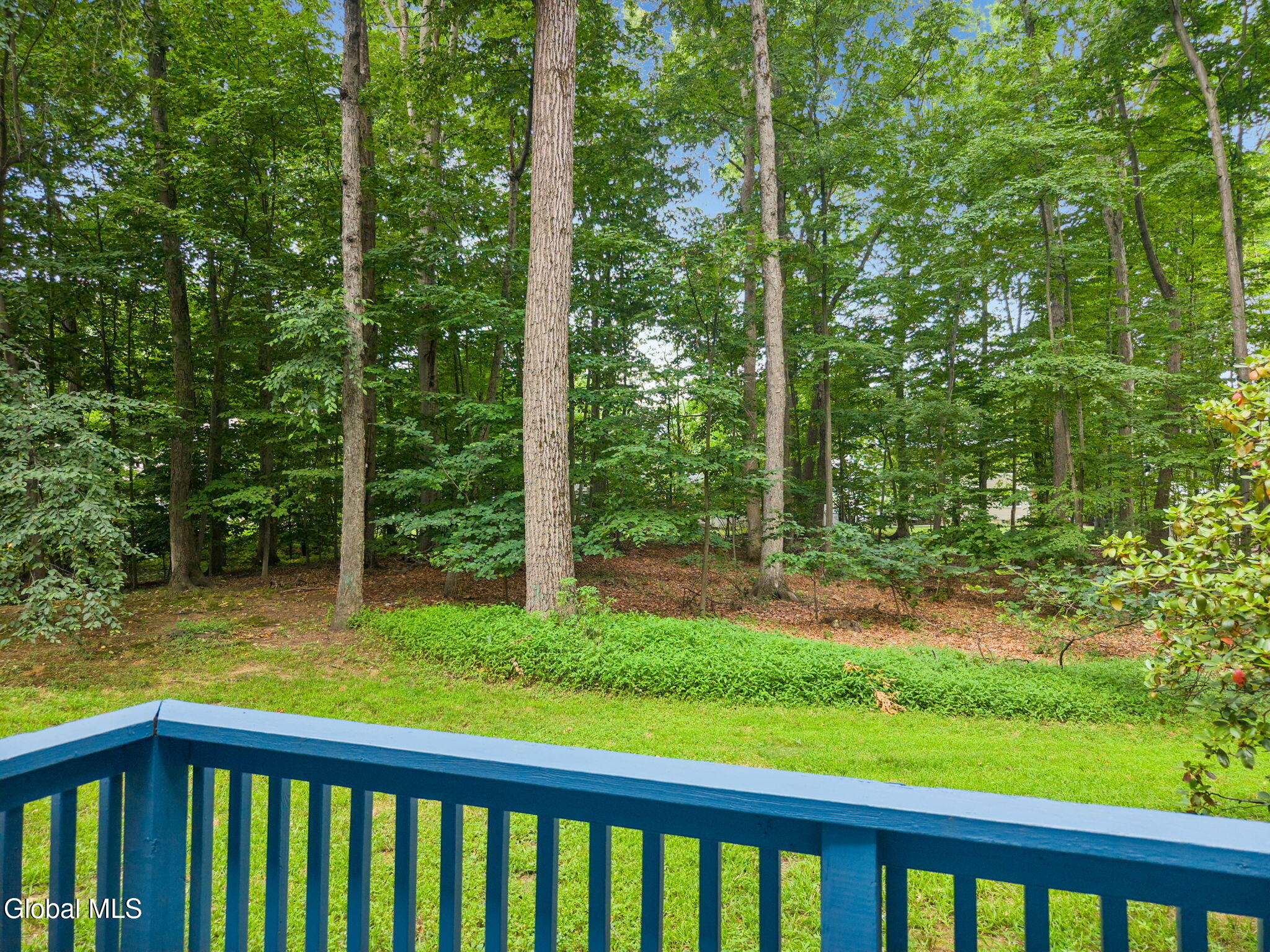 20 Longwood Drive Clifton Park NY 12065