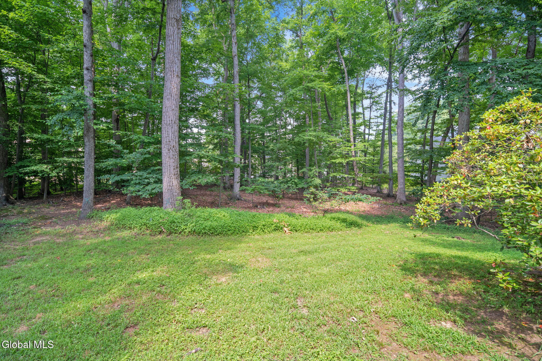 20 Longwood Drive Clifton Park NY 12065