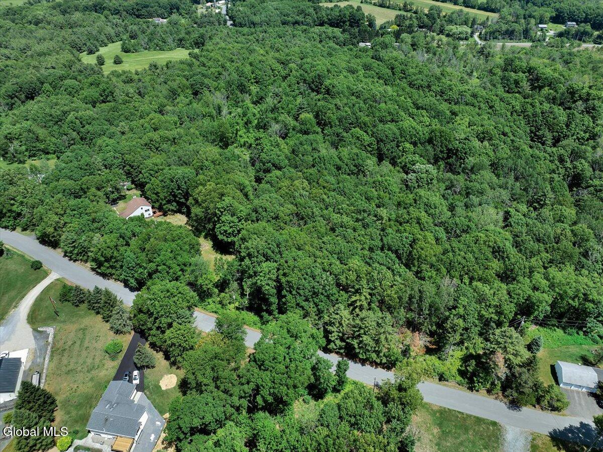 1007 Chamberlin Hill Rd Extension West Sand Lake NY 12196