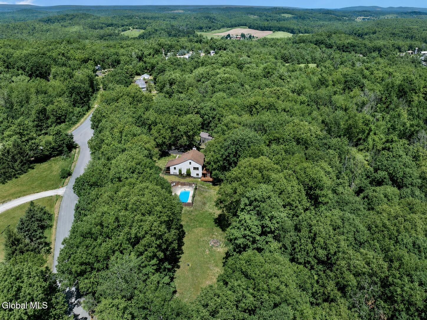 1007 Chamberlin Hill Rd Extension West Sand Lake NY 12196