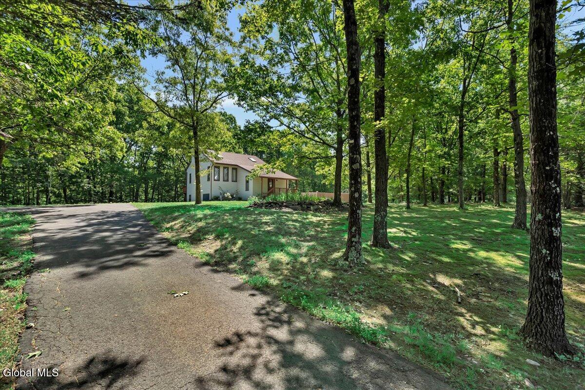 1007 Chamberlin Hill Rd Extension West Sand Lake NY 12196