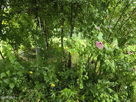 3206 Guilderland Avenue Rotterdam NY 12306