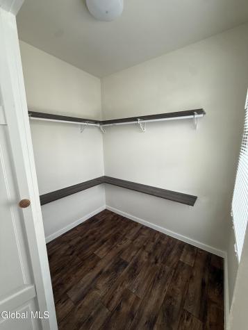446 1st Street Albany NY 12206