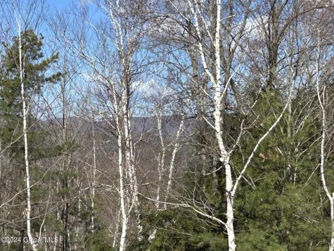 53 Moose Ridge Drive Lake George NY 12845
