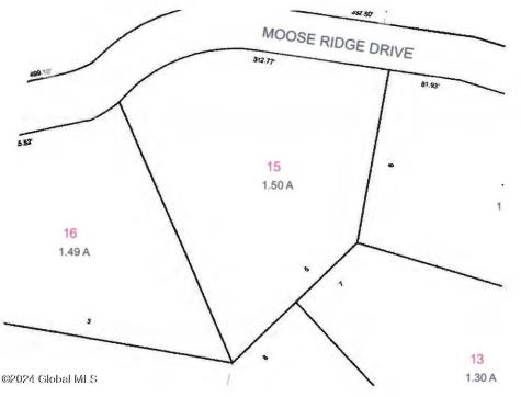 53 Moose Ridge Drive Lake George NY 12845