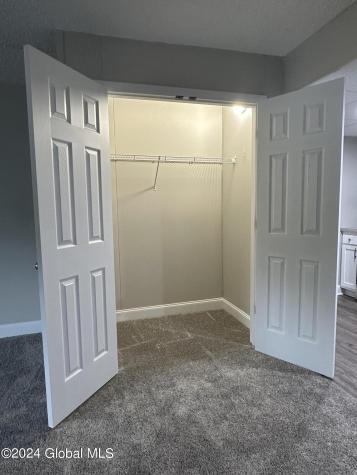 205 S Allen Street Albany NY 12208