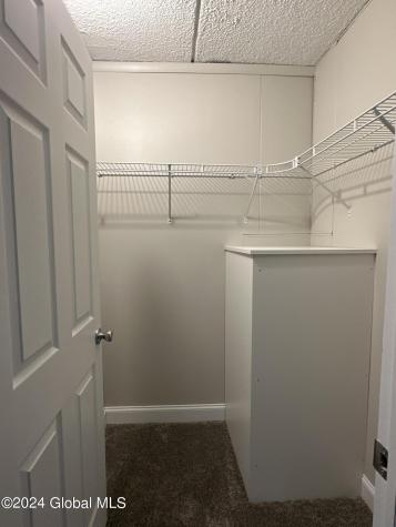205 S Allen Street Albany NY 12208
