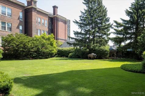 925 Delaware Avenue Buffalo NY 14209