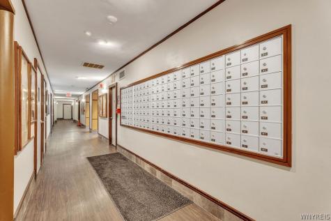 1088 Delaware Avenue Buffalo NY 14209