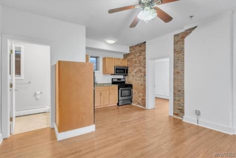 268 Georgia Street Buffalo NY 14201
