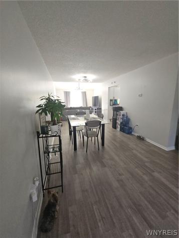 553 William Street Buffalo NY 14206