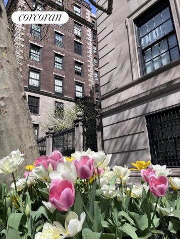 655 Park Avenue New York City NY 10065