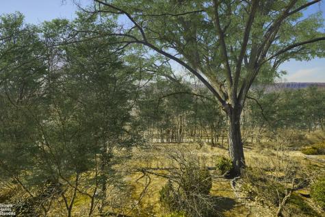 4425 Douglas Avenue New York City NY 10471