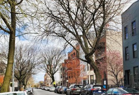 964 Madison Street New York City NY 11221