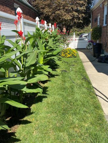 233-16 87th Avenue New York City NY 11427