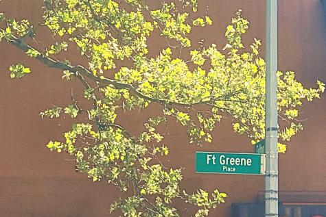 62 Fort Greene Place New York City NY 11217