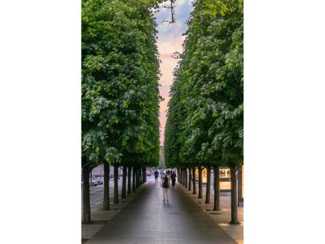 12 E 79th Street New York City NY 10075