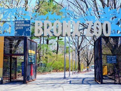 2255 Bathgate Avenue New York City NY 10457