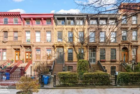 319 Mac Donough Street New York City NY 11233