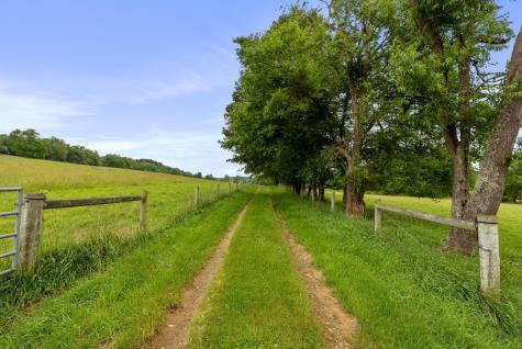 7955 Horn Road Gambier OH 43022