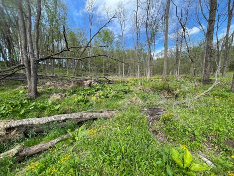 0 Monroe Mills Road Mount Vernon OH 43050