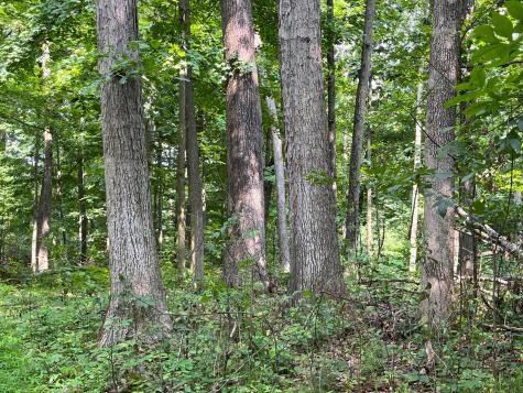 12600 Gilchrist Road Mount Vernon OH 43050