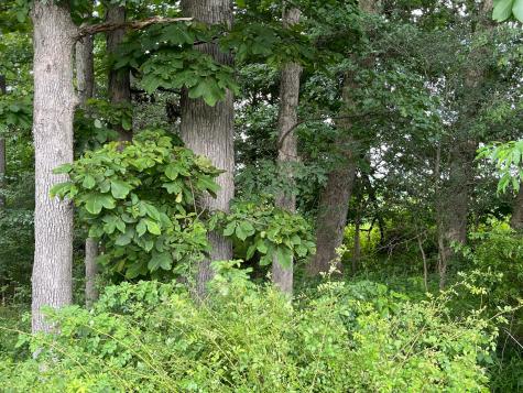 12600 Gilchrist Road Mount Vernon OH 43050