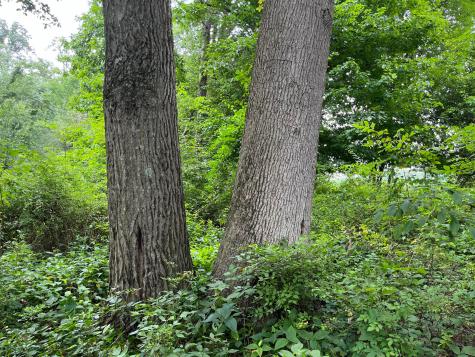 12600 Gilchrist Road Mount Vernon OH 43050