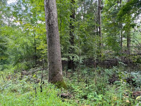 12600 Gilchrist Road Mount Vernon OH 43050