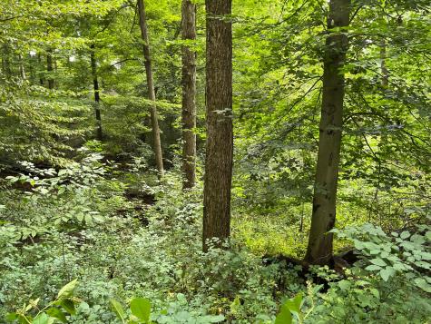 12600 Gilchrist Road Mount Vernon OH 43050