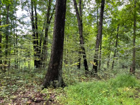 12600 Gilchrist Road Mount Vernon OH 43050